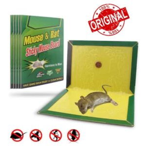 Mouse Trap Glue Book